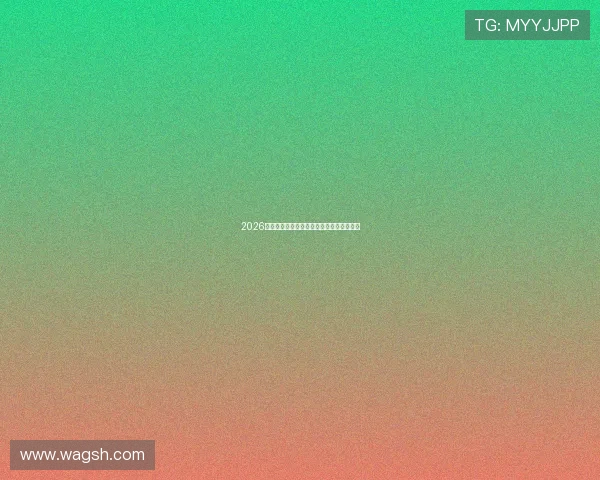 2026最新实用足球直播软件推荐及使用体验详解